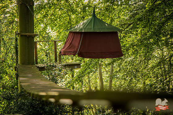 Woody park - photo 12