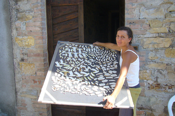 Daina Bianca - photo 9
