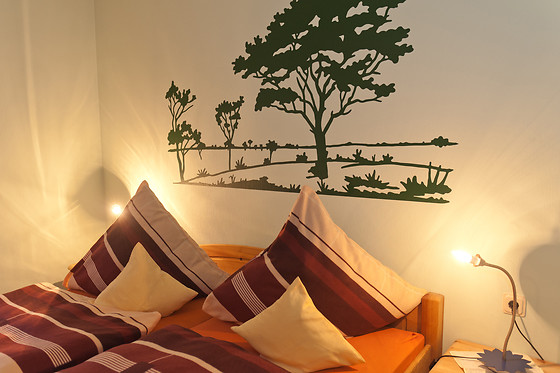 Wolffhotel - photo 0
