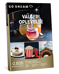 VALGFRI OPLEVELSE 199