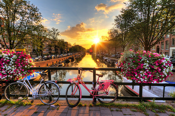 3 DAGES OPHOLD I AMSTERDAM