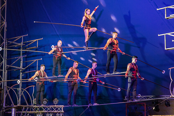 CIRKUSLAND BILLETTER FOR 4